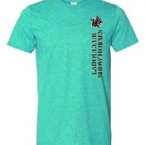 T-SHIRT SOFSTYLE POUR HOMME OU ENFANT