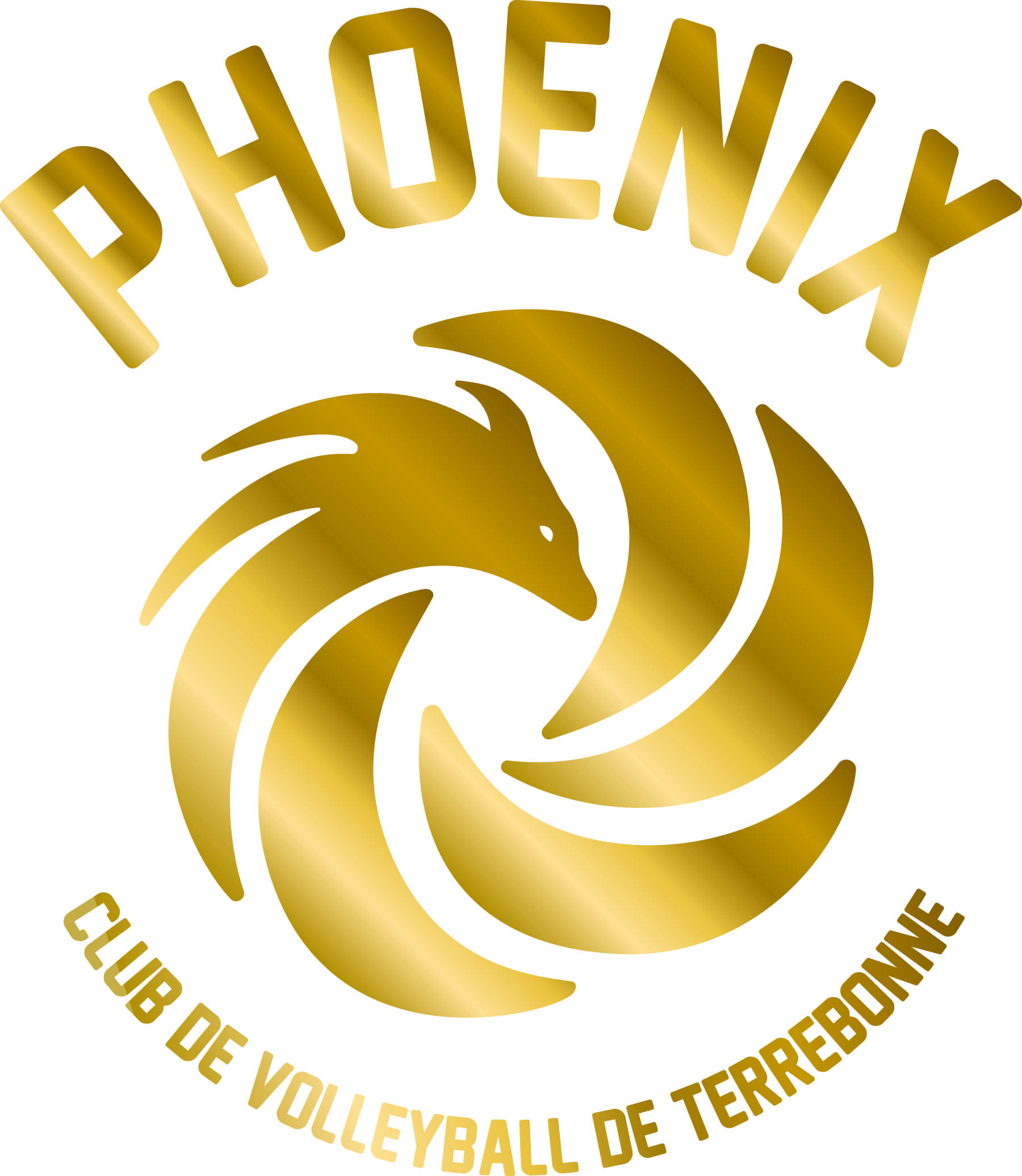 CLUB DE VOLLEYBALL DE TERREBONNE