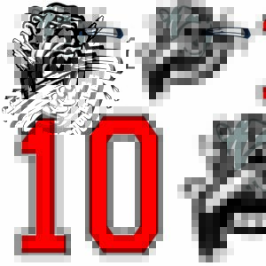 KITS AUTOCOLLANTS PERSONNALISÉS Grizzlys